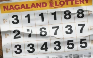 nagaland lottery prediction old